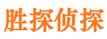 大观寻人公司